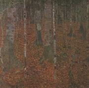 Gustav Klimt Birch Wood (mk20) painting